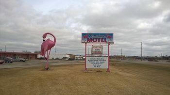Flamingo Motel Marshalltown Ngoại thất bức ảnh